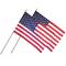 Annin & Company 24" x 36" U.S. Classroom Flag with Staff, 2ct.
